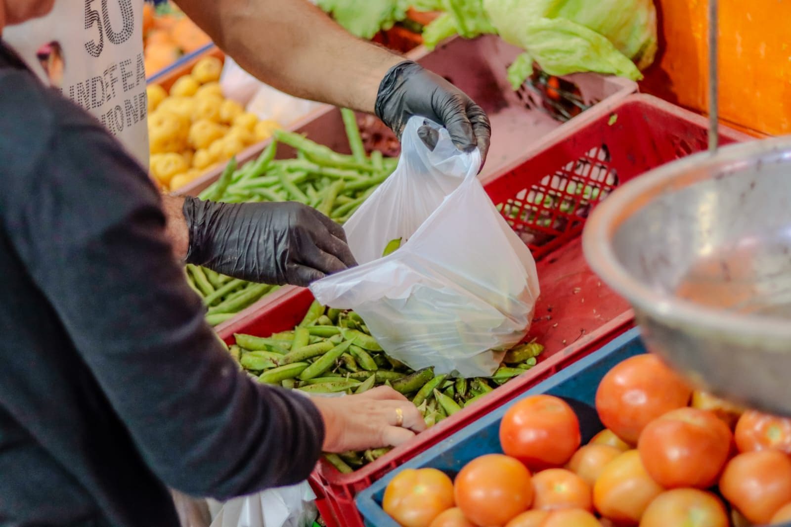 ¡Poniendo las plazas en orden! Inicia proceso de legalización de contratos con adjudicatarios