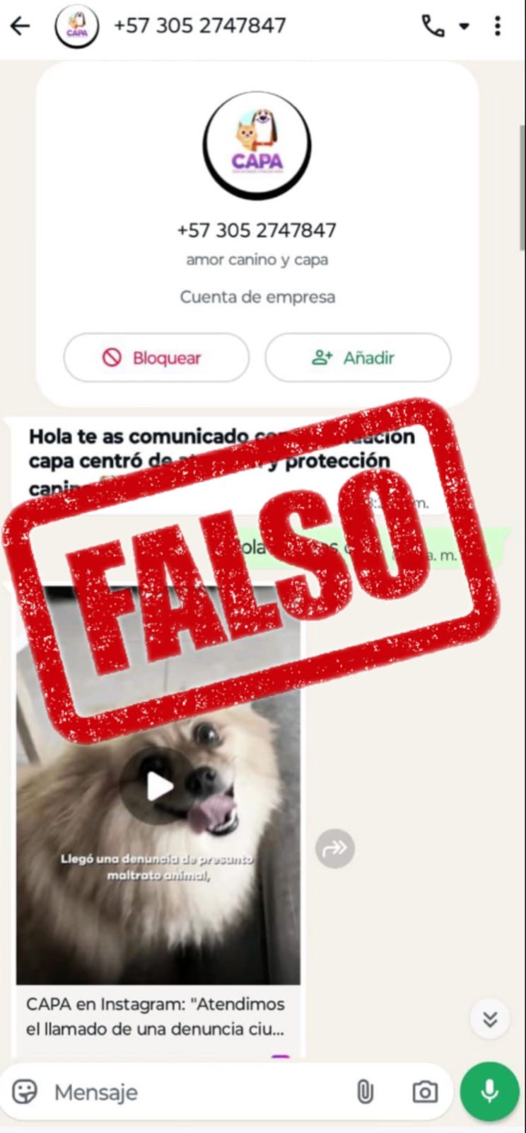 ¡Atención ciudadanos! CAPA advierte sobre estafas en supuestos procesos de adopción