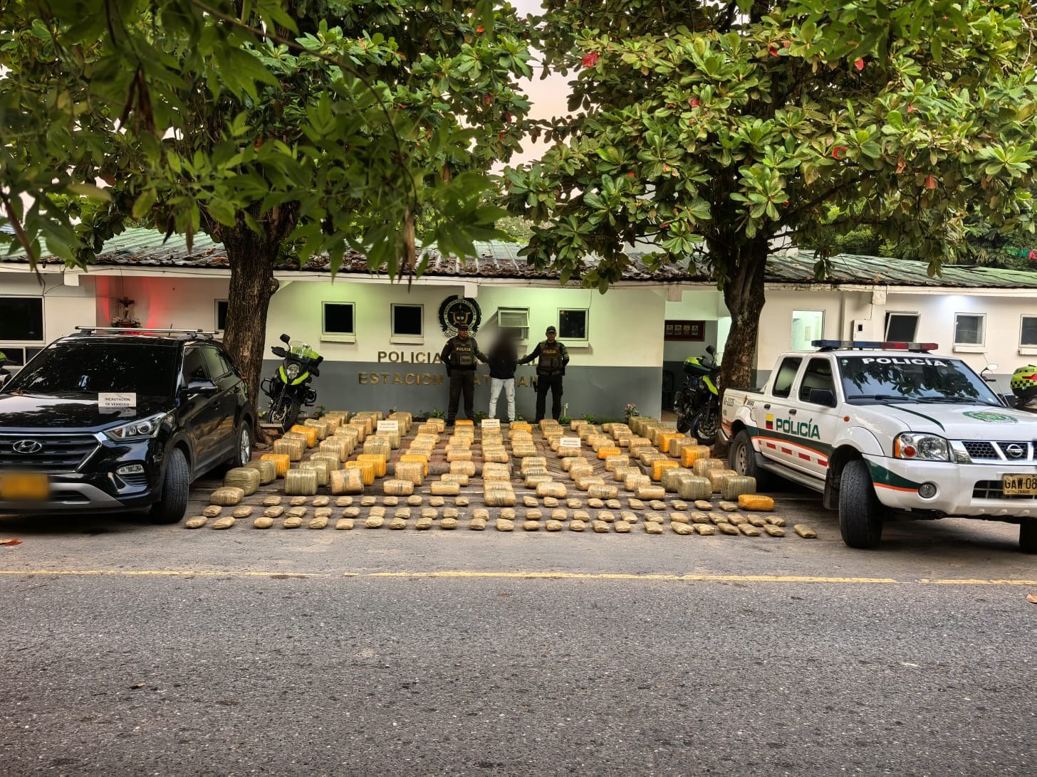 Contundente operativo contra el narcotráfico en el sur del Tolima: decomisados 445 kilos de marihuana