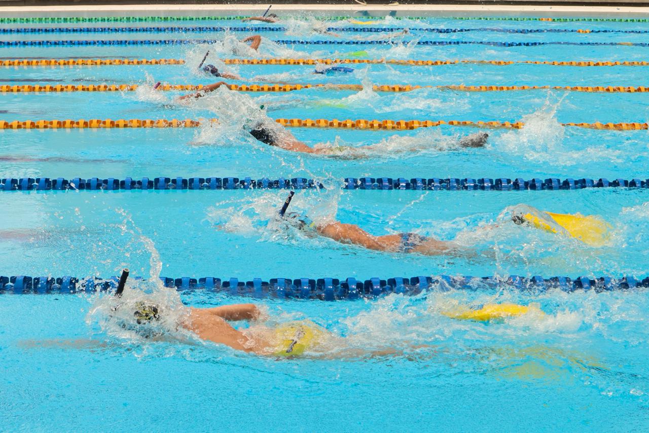 Clubes ibaguereños se destacaron en el Festival Nacional Infantil y Torneo Nacional Máster de Natación con Aletas