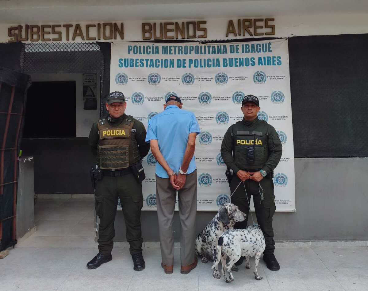 CAPA atiende a dos perros que fueron hallados colgados de un árbol en Ibagué