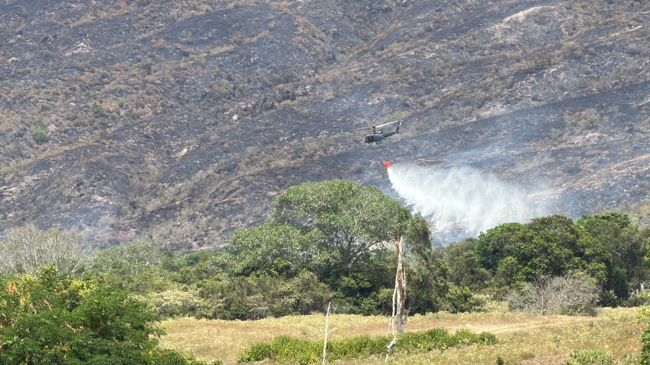 Cerca de 120 hectáreas de capa vegetal se han consumido en el incendio forestal del Alto de Gualanday