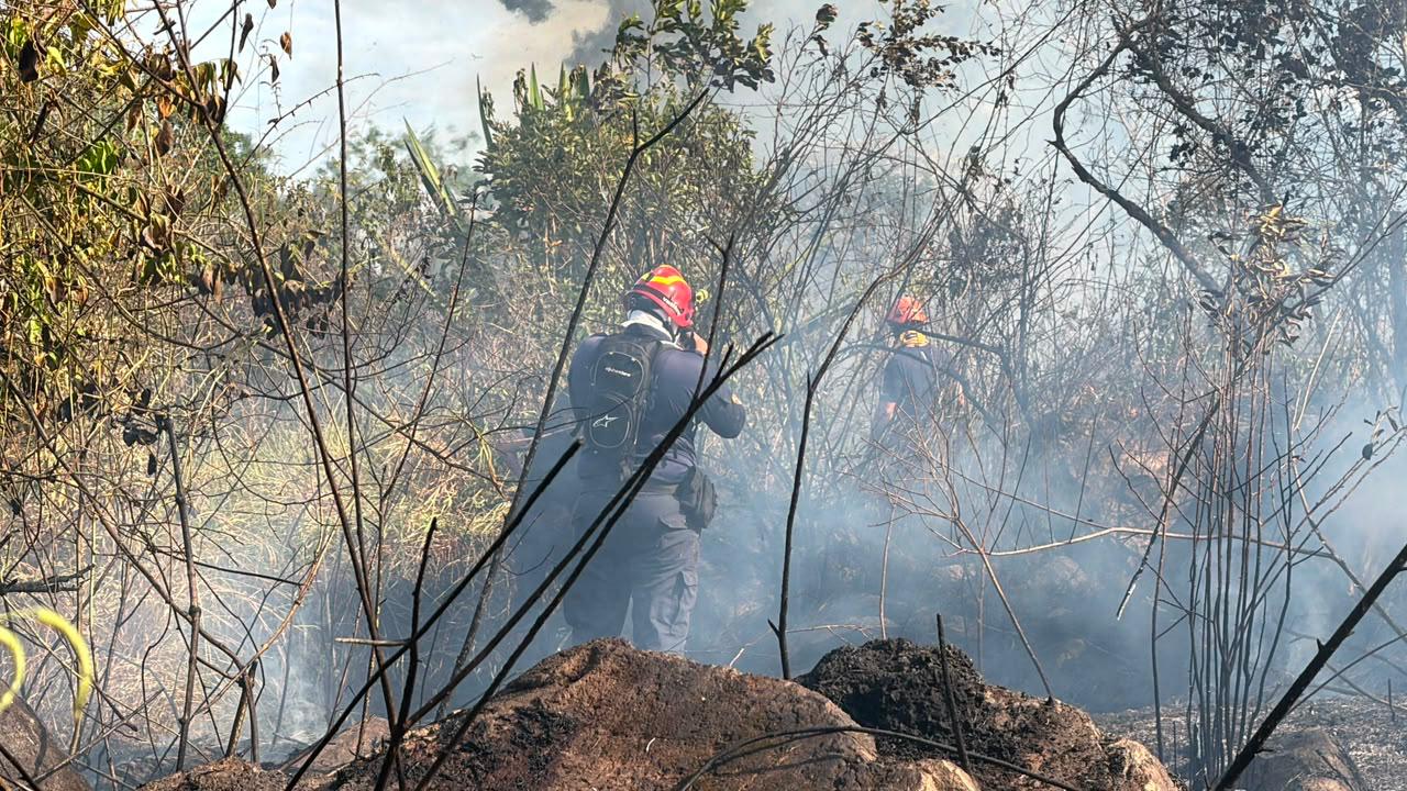 Alcaldía de Ibagué habilitó la línea de WhatsApp 320 240 0704 para denunciar a los pirómanos